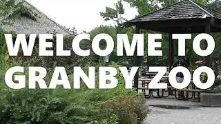2020 VISIT AT GRANBY ZOO! IF YOU ARE NATURE LOVER YOU'LL LOVE IT. #grandyzoo2020visit