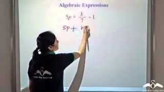 Algebraic Expressions | Monomial and Binomial Terms | Class 7 | ICSE | CBSE