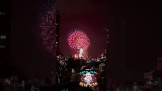 New Year 2024: London Fireworks 🎆 #newyear2024 #londonfireworks