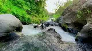 Float Beyond the Noise &ndash; Let the Water Carry You Home
