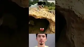 Dog Fights with Human 🤯 #shorts #bombastic #mrpmn0