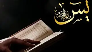 Surah Yaseen Surah Rahman | Best Quran Recitation | Daily Quran Tilawat | Part_95