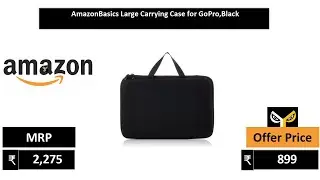 AmazonBasics Large Carrying Case for GoPro,Black