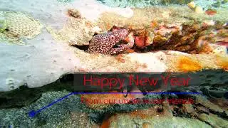 Happy New Year 2021