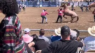 Santa Maria wild horse race 2023