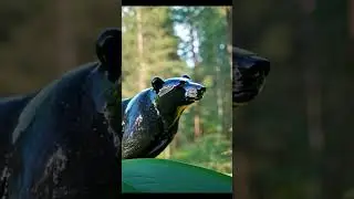 Gem Creatures in the Wild: Raven, Penguin, Bear