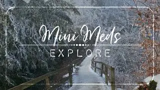 Mini Meditation | EXPLORE | 5 Minute Guided Meditation to Explore your Inner Values ❤️
