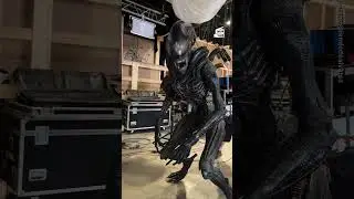 This &lsquo;Alien: Romulus&rsquo; Animatronic Is Just as Scary IRL