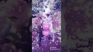 Chủ rcam nhảy xấu v&atilde;i