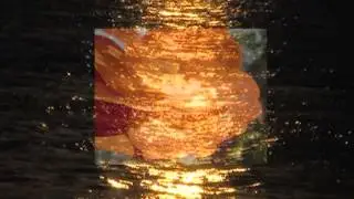 Die Goldene Blüte (The Golden Bloom) by Hans-André Stamm