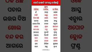 Odia + English + Tamil Translation #trendingshorts #viralshorts #shorts #youtubeshorts