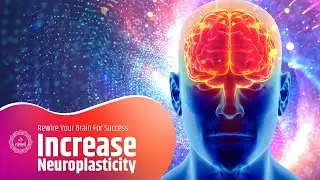 Increase Neuroplasticity | Enhance Overall Cognitive Skills | Rewire Your Brain For Success | Alpha