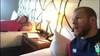 Lions Best Friends