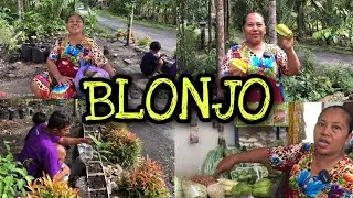 BLONJO SAYUR SEMANGAT MASAK || PANEN BUAH⁉️