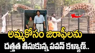 Deputy CM Pawan Kalyan to Adopt 2 Giraffes On the occasion Mother Anjana Devi @HITTVOFFICIAL