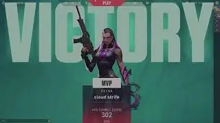 No HUD Valorant