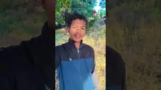 तू जमाने की परवाना कर #lovemusic #trending #love #dance #viral #hindisong #music #explore #viral