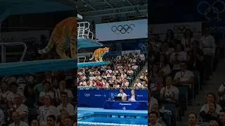 Cat Competes in Olympic Diving