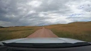 Custer State Park Wildlife Loop - South Dakota 6/8