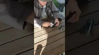 how hard Australian Border Force staff  work in Detention