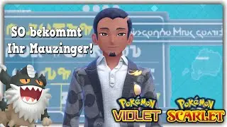 SO bekommt Ihr Mauzinger in Pokemon Karmesin & Purpur