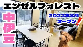 【犬と泊まれる】エンゼルフォレスト中伊豆が最高過ぎた！～【トイプードルのわらび】