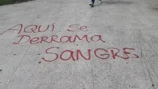 Fuera pi&ntilde;era asesino