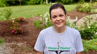 Planting Encore Azaleas & 'Invicibelle Ruby' Hydrangeas | Gardening with Creekside