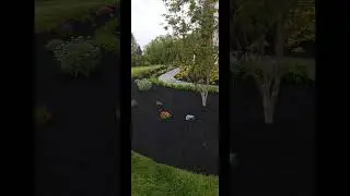 A ty tambi&eacute;n te gusta arreglar as&iacute; tu jard&iacute;n 👍🏻