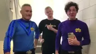 The Wiggles Wiggly Trivia Anthony vs Michael King (read description)