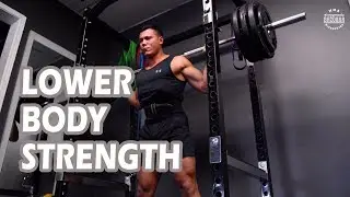 Lower Body Strength