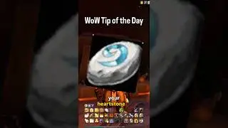 WoW Tip: Free Up Bag Space with Hearthstone Toy Collection | #worldofwarcraft #warcraft #shorts