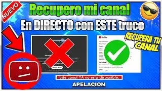✔️ RECUPERAR canal  YouTube Inhabilitado  | Se suspendi&oacute; tu canal &iquest;C&oacute;mo apelar? | Soluci&oacute;n