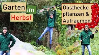 Zu Gast im Gartengemüsekiosk 😃 Teil 1 🌱🌤 Gartenarbeiten Oktober 🍂 Obststräucher Pflanzen & Aufräumen