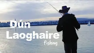 The Craziest Micro Fishing Spot in Dublin! (Dun Laoghaire harbour)  #fishing#DunLaoghaire 