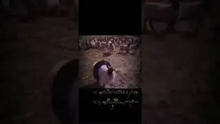 Я жив :) #shortvideo #trending #memes #shorts