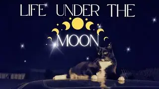 Life Under The Moon | Helping Change Views Writing Reviews | Episode 47
