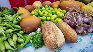 #DAAWO Bandhigga wax soo saarka beeraha iyo xoola gobalka Mudug