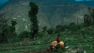 Village life in Himalayas of sikkim during lockdown #shorts YouTube