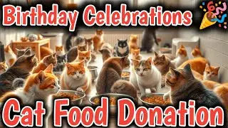 Celebrating Love & Compassion:Casper's Birthday Cat Food Donation for Abandoned cats & street cats🎉