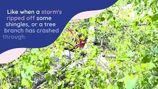 Emergency Roof Repair Spring Hill FL