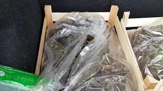 КАБРИЛЛО фриго из Италии