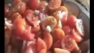 Kalebogaz Koyü Oltu ----Hazırlayan --Bünyamin Kaya -