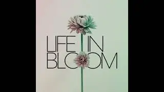 Life in Bloom