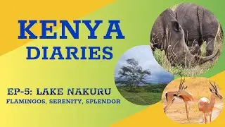 Exploring LAKE NAKURU national park | Kenya safari adventure in Great Rift Valley! 🦩(PART -1)
