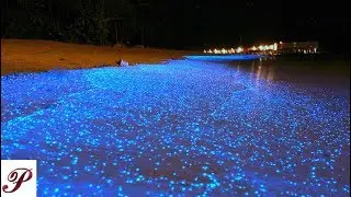 9 Most Unusual Beaches You Won't Believe Exist