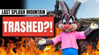 Destroying the LAST Splash Mountain Soon?! Disney Media Say Tokyo to Trash Splash!