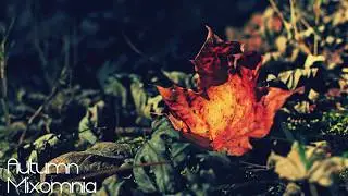 Autumn - Chillstep Mix 2013 HD