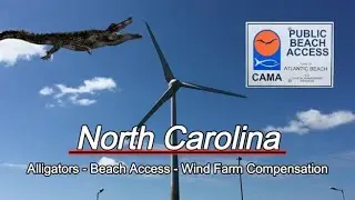 13 Foot Alligator Catch and Release. Beach Access Problems. Wind Farm Compensation For Fishermen?
