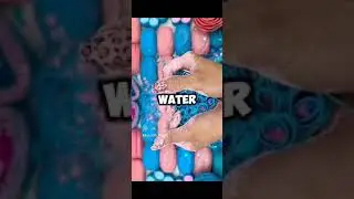 Random Facts You Didn't Know!  #facts #randomfacts #slime &lrm;#interesting #satisfying #nickiminaj